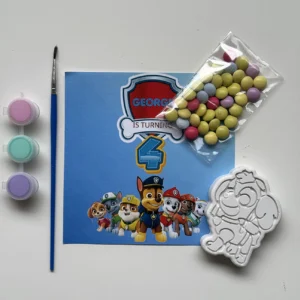 Paw patrol painting kit